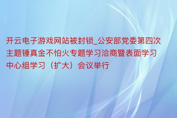 开云电子游戏网站被封锁_公安部党委第四次主题锤真金不怕火专题
